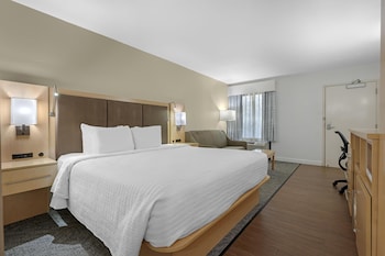 Standard Room, 1 King Bed, Refrigerator & Microwave, Mountain View