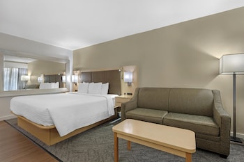 Standard Room, 1 King Bed, Refrigerator & Microwave, Mountain View