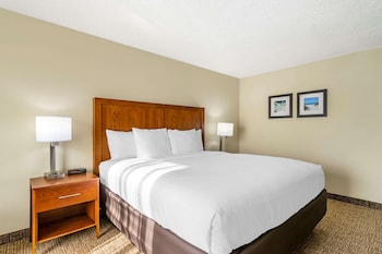 Deluxe Suite, 1 King Bed with Sofa bed, Non Smoking (1 Person Sofa Bed)