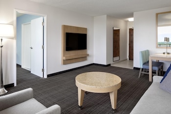 Suite, 1 King Bed, Accessible (Roll In Shower)