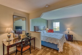 Comfort Single Room
