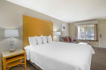 Standard Room, 1 King Bed, Accessible, Non Smoking
