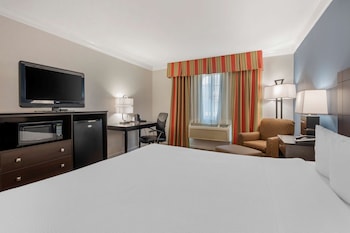 Standard Room, 1 King Bed, Accessible, Non Smoking