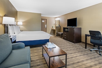 Suite, 1 King Bed, Non Smoking, Refrigerator & Microwave (with Sofabed)