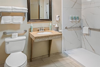 Standard Room, 1 Queen Bed, Accessible, Refrigerator & Microwave