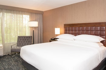 Room, 1 King Bed