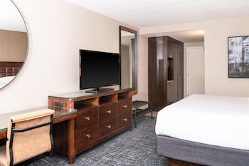 Room, 1 King Bed