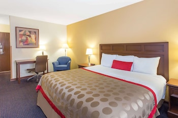 Business Room, 1 King Bed, Non Smoking