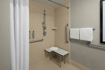 Studio, 1 King Bed with Sofa bed (Mobility/Hearing Access, Roll-In Shwr)