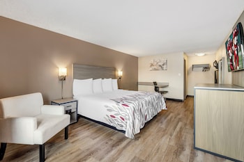 Superior Room, 1 King Bed, Non Smoking