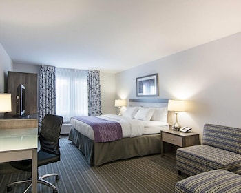 Standard Room, 1 King Bed, Non Smoking