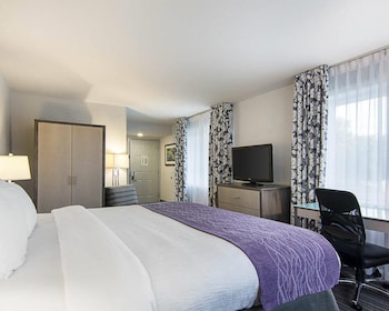 Room, 1 King Bed, Accessible, Non Smoking