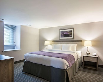 Premier Suite, 1 King Bed with Sofa bed, Non Smoking, Kitchenette (Efficiency)