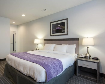 Suite, 1 Bedroom, Non Smoking