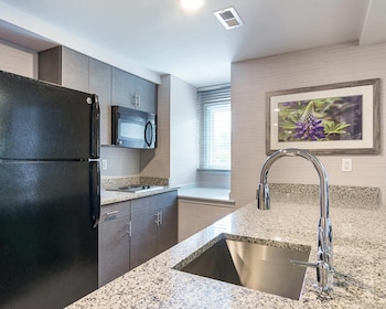 Premier Suite, 1 King Bed with Sofa bed, Non Smoking, Kitchenette (Efficiency)