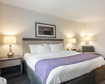 Room, 1 King Bed, Accessible, Non Smoking