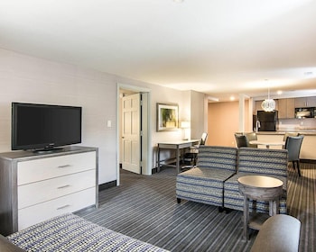 Premier Suite, 1 King Bed with Sofa bed, Non Smoking, Kitchenette (Efficiency)
