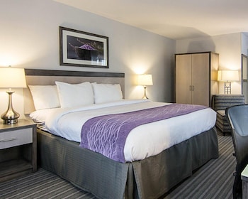 Room, 1 King Bed, Accessible, Non Smoking