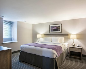 Premier Suite, 1 King Bed with Sofa bed, Non Smoking, Kitchenette (Efficiency)