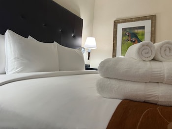Superior Room, 1 King Bed