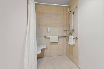 Standard Room, 1 King Bed, Accessible, Non Smoking (Roll-In Shower)