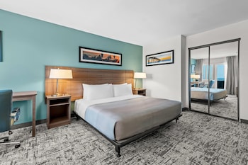 Standard Room, 1 King Bed, Accessible, Non Smoking (Roll-In Shower)