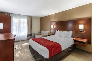Standard Room, 1 Queen Bed with Sofa bed