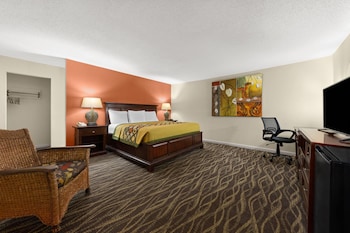 Room, 1 King Bed, Non Smoking