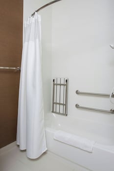 Studio, 1 King Bed with Sofa bed