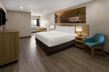 Room, 1 King Bed, Non Smoking