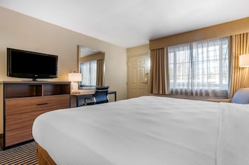 Standard Room, 1 King Bed, Non Smoking, Refrigerator & Microwave (Shower Only)