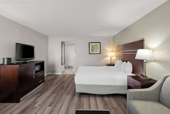 Standard Room, 1 King Bed, Non Smoking (1st Floor;Pet Friendly;with Sofabed)