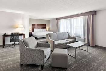 Suite, 1 King Bed, Non Smoking, Jetted Tub (Larger Room;with Sofabed)