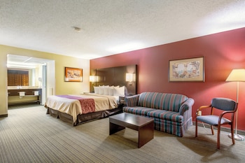 Superior Room, Non Smoking (1 King Bed)