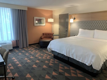 Standard Room, 1 King Bed with Sofa bed