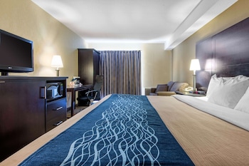Standard Room, 1 Kind bed 1 Sofa Bed - Ground Floor, Non-Smoking