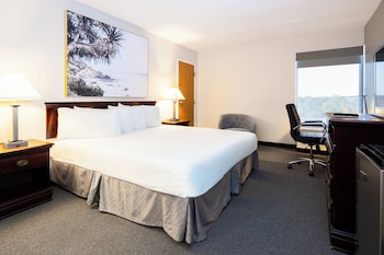 King Room, Non-Smoking