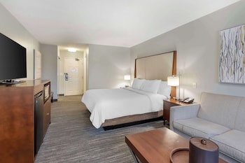 Standard Room, 1 King Bed, Non Smoking, Refrigerator (with Sofabed)