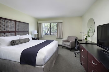 Room, 1 King Bed, Accessible