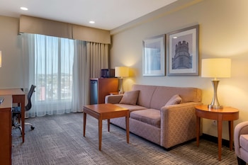 Executive Suite, 1 King Bed, Non Smoking, Refrigerator & Microwave (with Sofabed)