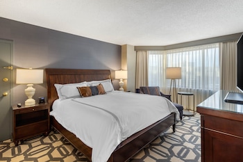 Executive Suite, 1 King Bed with Sofa bed, City View (Spacious)