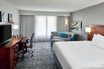 Room, 1 King Bed with Sofa bed