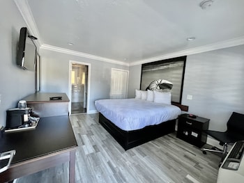 Basic Room, 1 King Bed