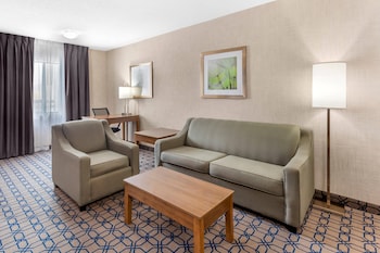 Suite, 1 King Bed with Sofa bed, Non Smoking