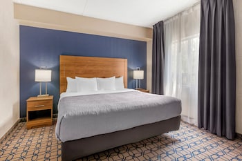 Suite, 1 King Bed, Non Smoking (Efficiency)