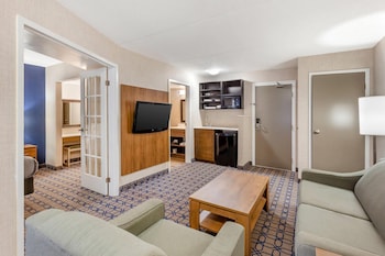 Suite, 1 King Bed, Non Smoking (Efficiency)