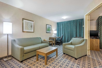 Suite, 1 King Bed with Sofa bed, Non Smoking