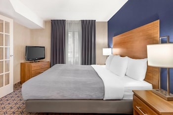 Suite, 1 King Bed, Non Smoking (Efficiency)