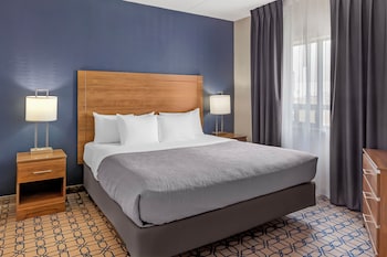 Suite, 1 King Bed with Sofa bed, Non Smoking