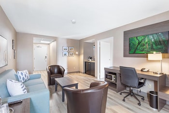 Suite, 1 King Bed, Non Smoking (Living Room;with Sofabed)